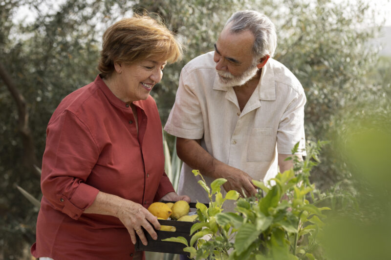 Seniors : Cueillette à Jumeauville