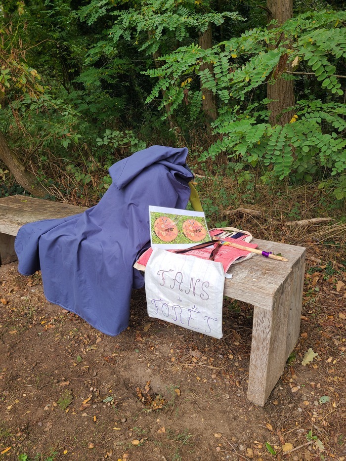 Forest game Sylvaticus