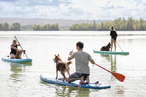 3e édition des Canidays